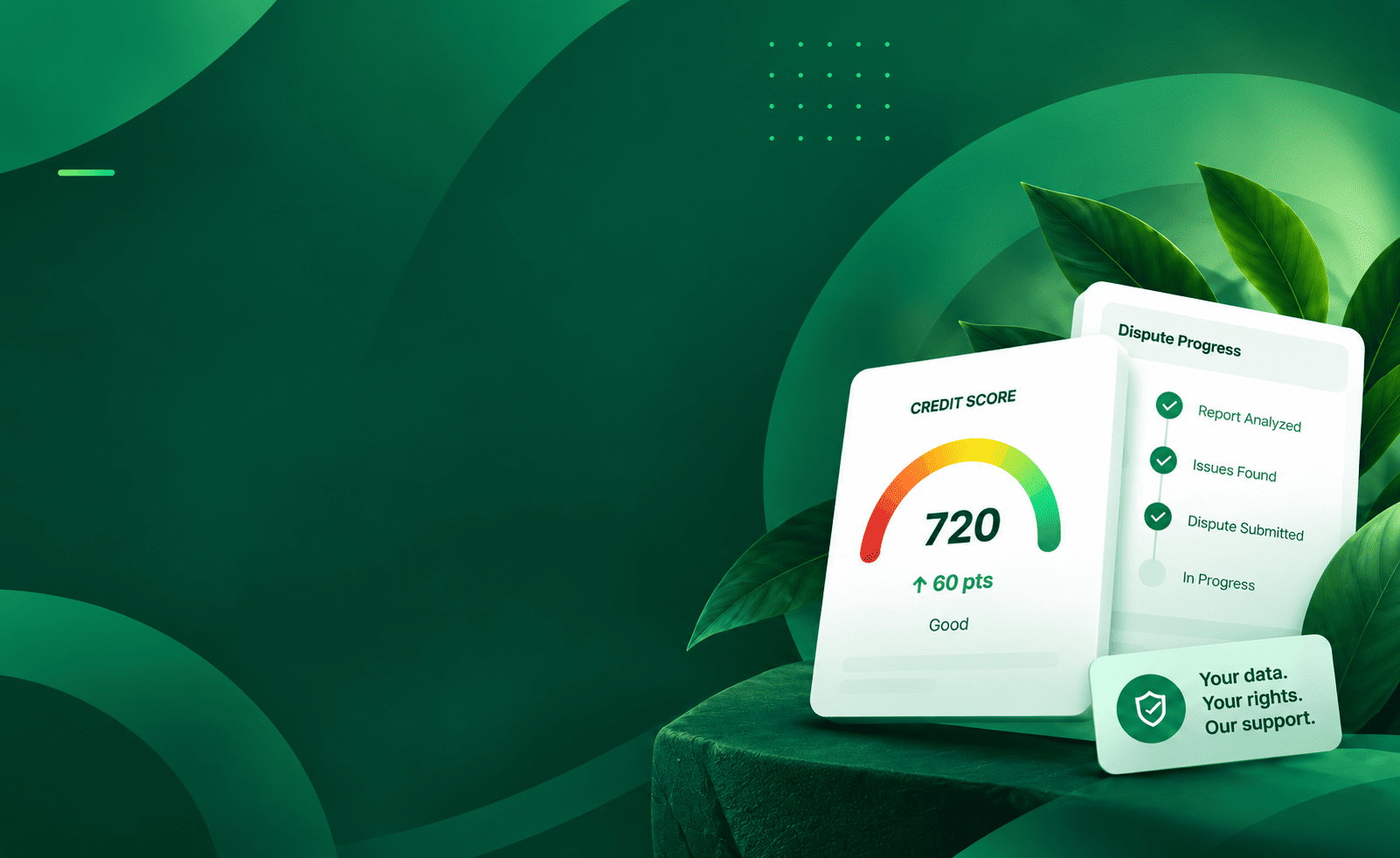 Credit score and dispute progress cards
